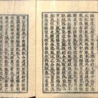 010-ZN00770.jpg