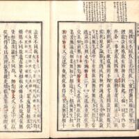 047-ZN00126.jpg