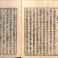 018-ZN00317.jpg