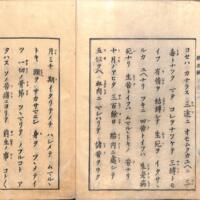 005-ZN01056.jpg