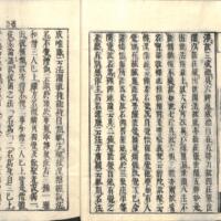 010-ZN00873.jpg