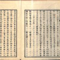 0006-ZN01228.jpg