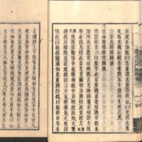 028-ZN00489.jpg