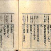 018-ZN01010.jpg