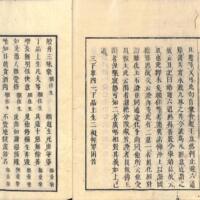 010-ZN00514.jpg