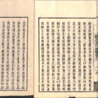 020-ZN00489.jpg