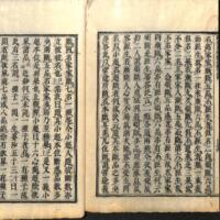 056-ZN00610.jpg