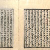 028-ZN00577.jpg