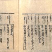 015-ZN00207.jpg
