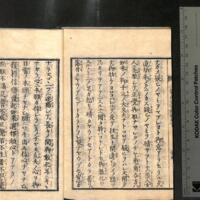 027-ZN00795.jpg