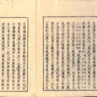 004-ZN00491.jpg