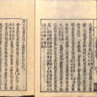 014-ZN00932.jpg