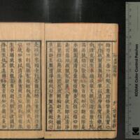 016-ZN01141.jpg