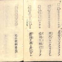 008-ZN00212.jpg