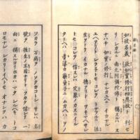 017-ZN01056.jpg