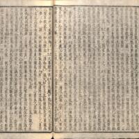 017-ZN00629.jpg