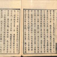 039-ZN00076.jpg