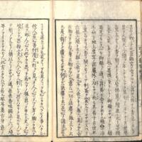 041-ZN00595.jpg