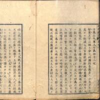 011-ZN00334.jpg