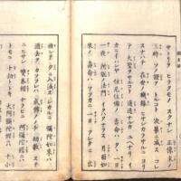 032-ZN01056.jpg