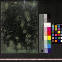 042-ZN00872.jpg