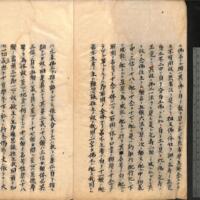 004-ZN01203.jpg