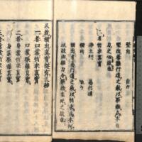 038-ZN00769.jpg
