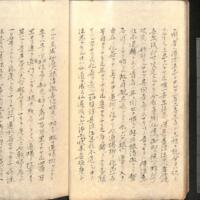 025-ZN00791.jpg
