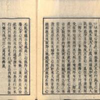023-ZN00510.jpg
