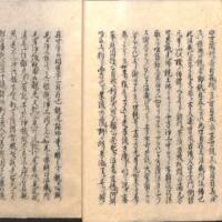 020-ZN00956.jpg