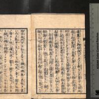 034-ZN00795.jpg