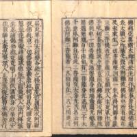 031-ZN00317.jpg