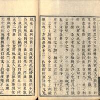 028-ZN00076.jpg
