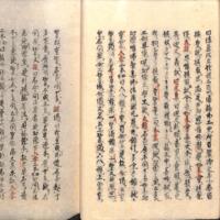 029-ZN00956.jpg