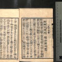 022-ZN00795.jpg