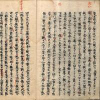 006-ZN00787.jpg