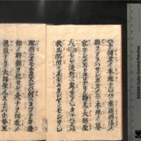 009-ZN00200.jpg
