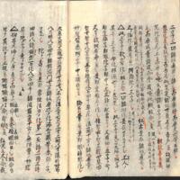 028-ZN00515.jpg