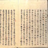 0005-ZN00493.jpg
