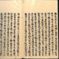 062-ZN00494.jpg