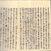 041-ZN00515.jpg