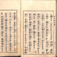019-ZN01055.jpg