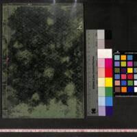 053-ZN00871.jpg
