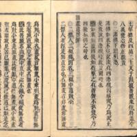 005_ZN00087.jpg