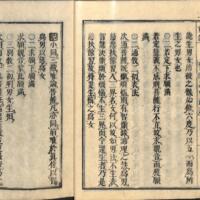 017-ZN00092.jpg