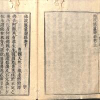 029-ZN00315.jpg