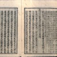 010-ZN00646.jpg