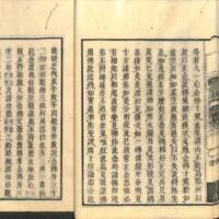 029-ZN00490.jpg