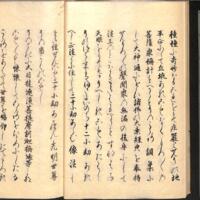 016-ZN01023.jpg