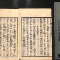 028-ZN00795.jpg